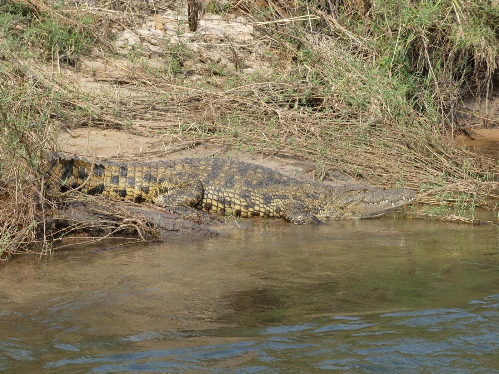 Mobola Lodge Mamono ภายนอก รูปภาพ