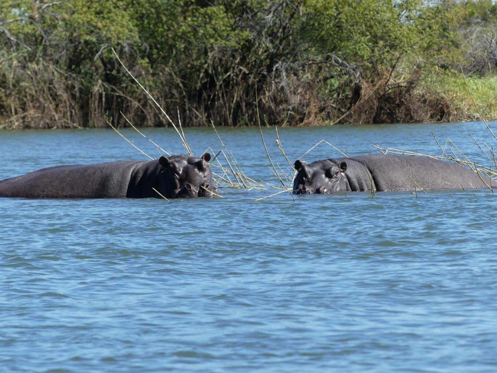Mobola Lodge Mamono ภายนอก รูปภาพ